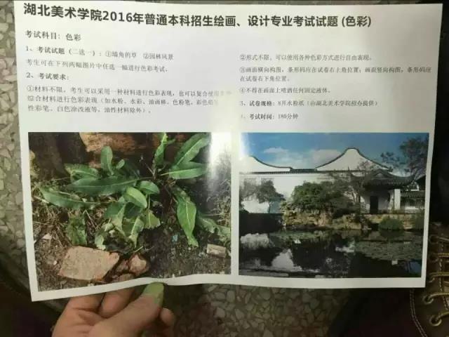 湖美考題.jpg